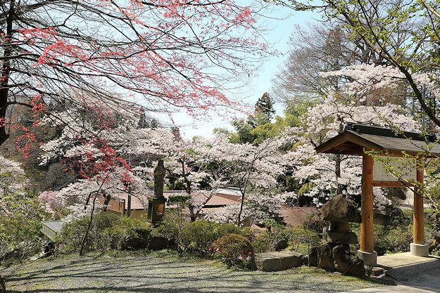 春の岩角寺